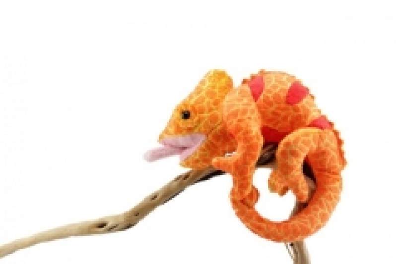 Kuschel Reptielien